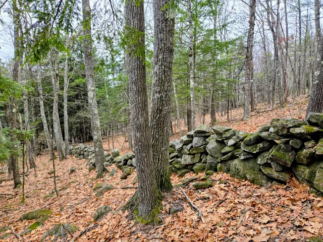 $165,000 | Lot 35 Moose Hill Road, Livermore Falls, ME 04254