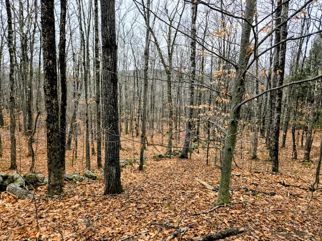 $165,000 | Lot 35 Moose Hill Road, Livermore Falls, ME 04254