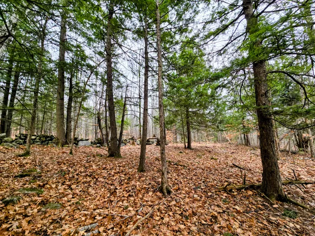$165,000 | Lot 35 Moose Hill Road, Livermore Falls, ME 04254