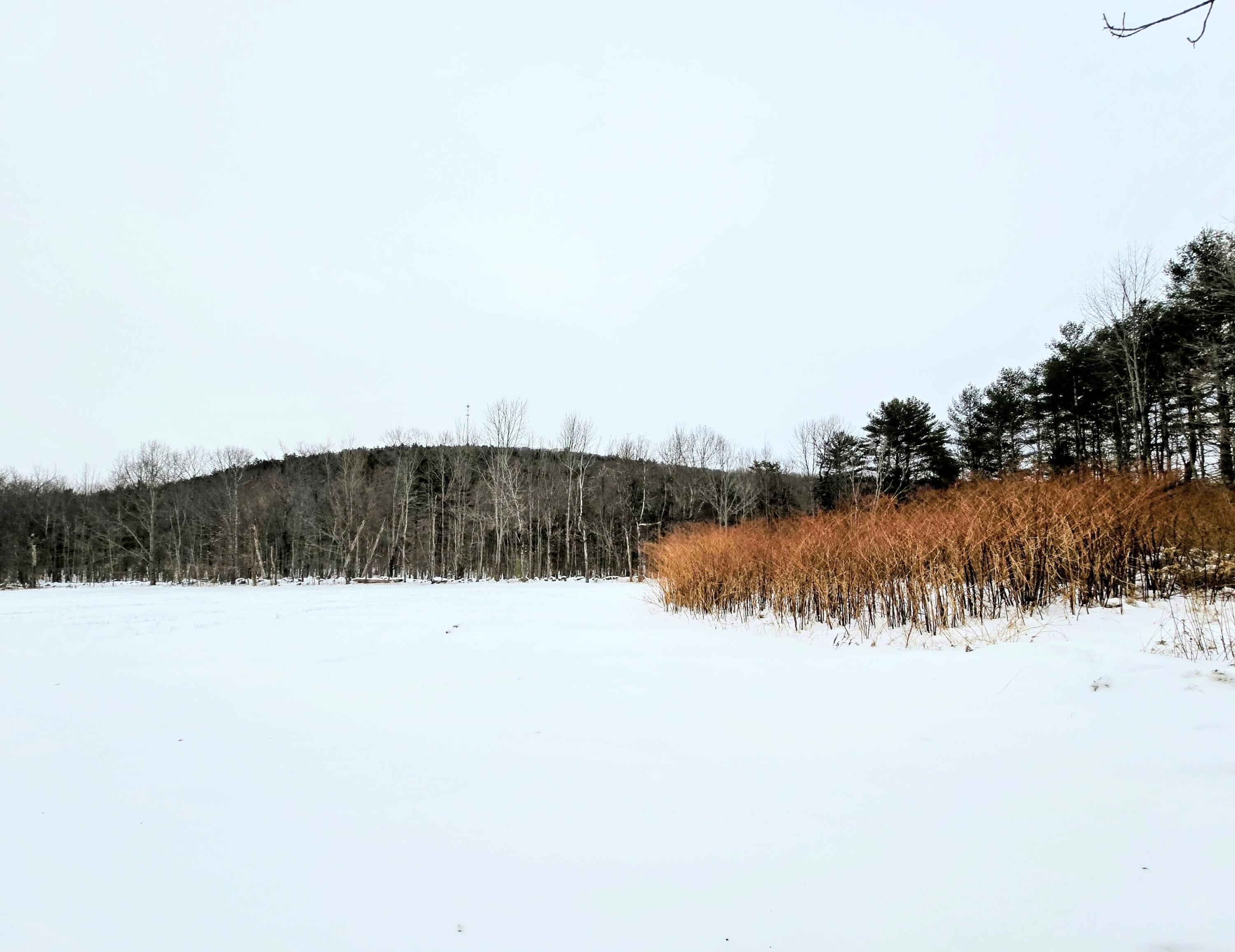 Lot 35 Moose Hill Road Livermore Falls, ME 04254 - Photo 2 of 48 Lot 35 Moose Hill Road