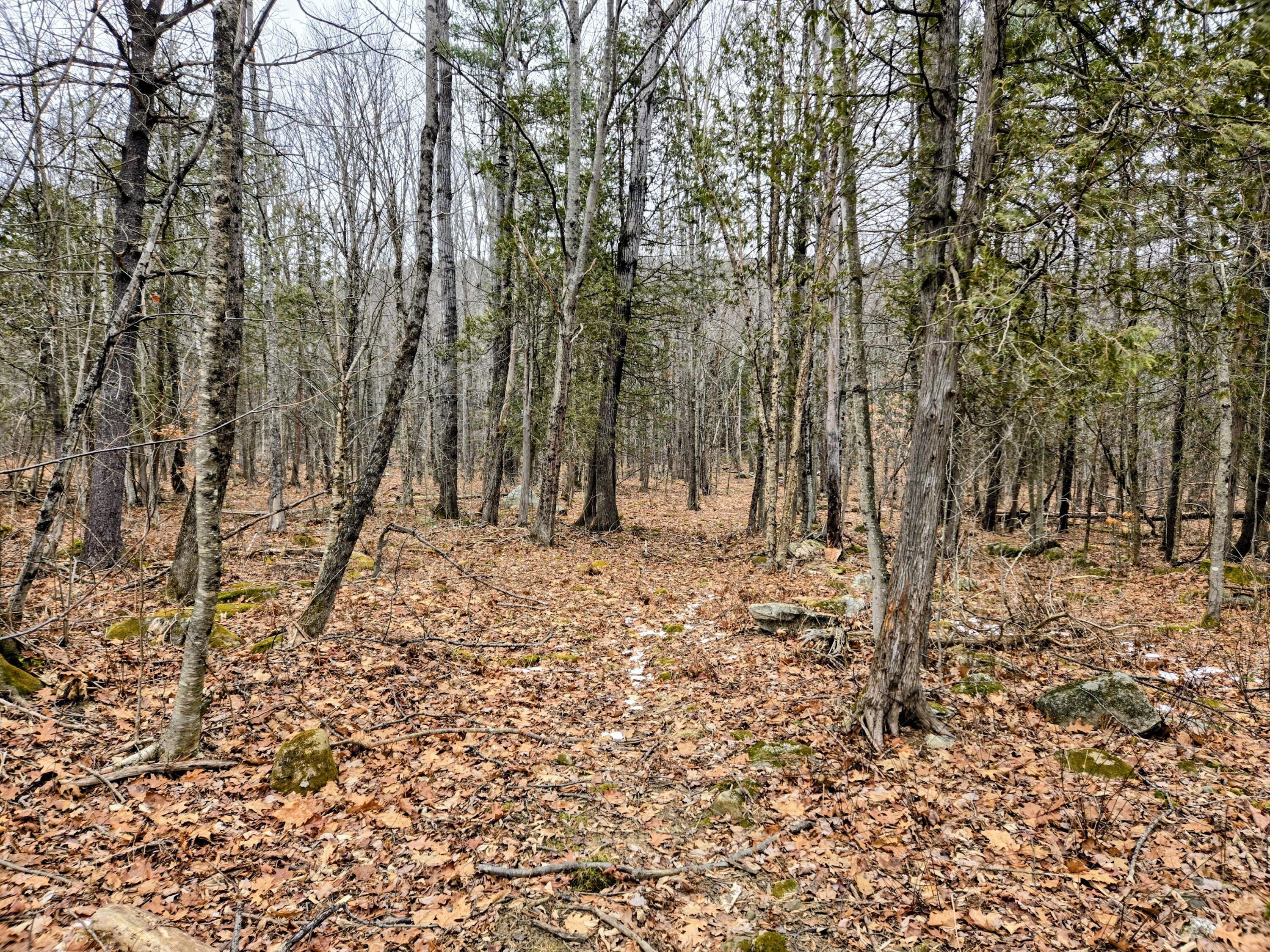 Lot 35 Moose Hill Road Livermore Falls, ME 04254 - Photo 21 of 48 Lot 35 Moose Hill Road