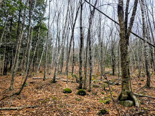 $165,000 | Lot 35 Moose Hill Road, Livermore Falls, ME 04254