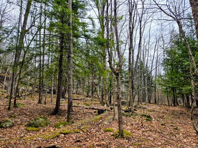 $165,000 | Lot 35 Moose Hill Road, Livermore Falls, ME 04254