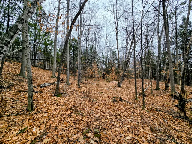 $165,000 | Lot 35 Moose Hill Road, Livermore Falls, ME 04254