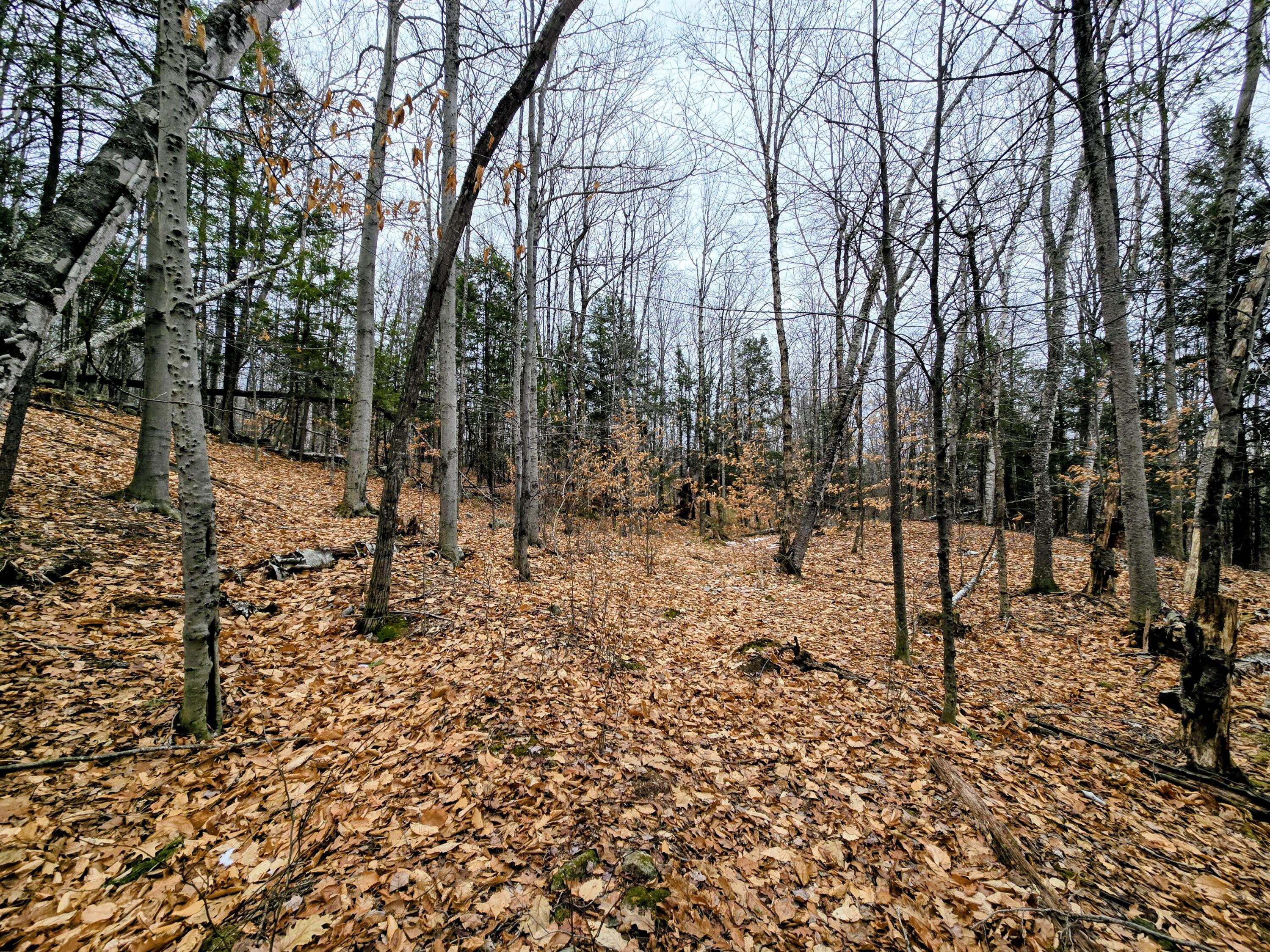Lot 35 Moose Hill Road Livermore Falls, ME 04254 - Photo 25 of 48 Lot 35 Moose Hill Road
