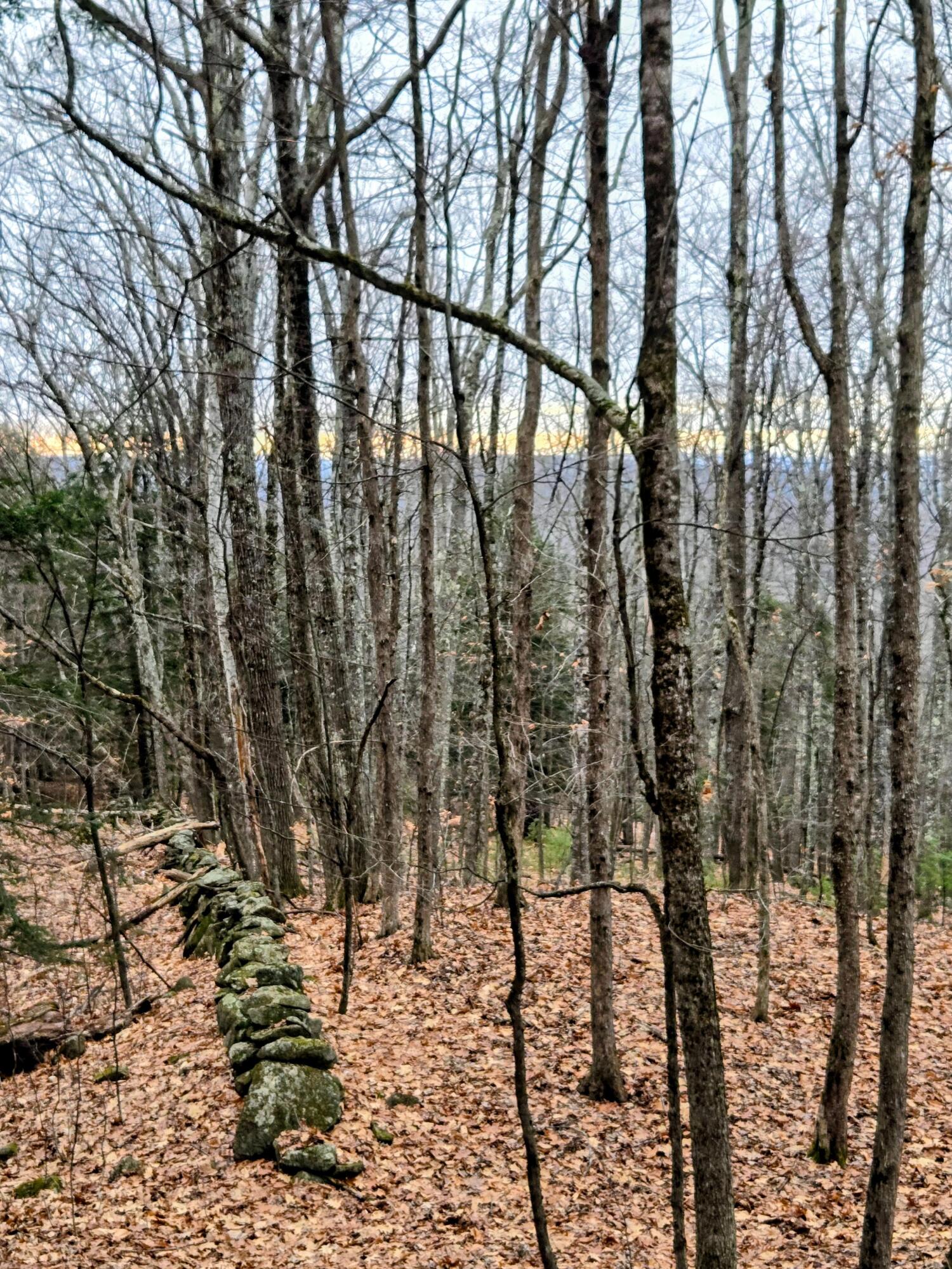 Lot 35 Moose Hill Road Livermore Falls, ME 04254 - Photo 27 of 48 Lot 35 Moose Hill Road