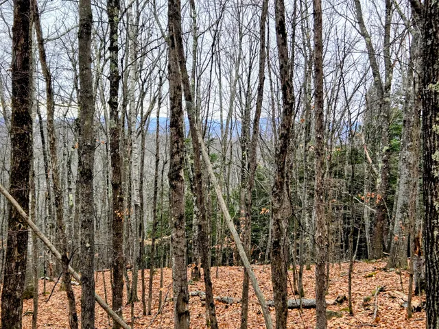 $165,000 | Lot 35 Moose Hill Road, Livermore Falls, ME 04254