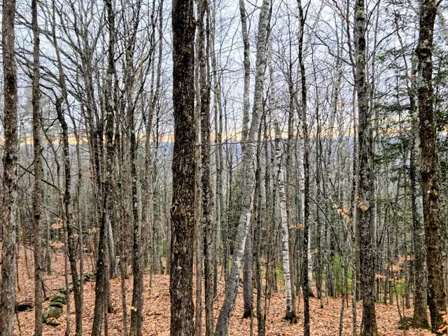 $165,000 | Lot 35 Moose Hill Road, Livermore Falls, ME 04254