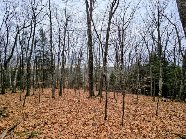 $165,000 | Lot 35 Moose Hill Road, Livermore Falls, ME 04254