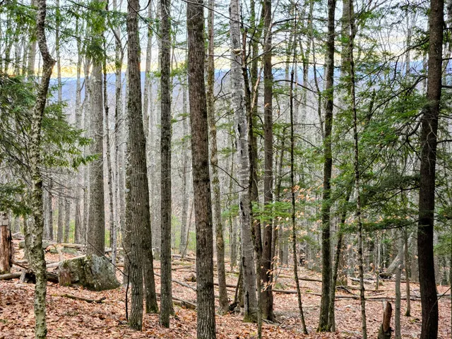 $165,000 | Lot 35 Moose Hill Road, Livermore Falls, ME 04254