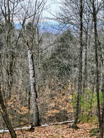 $165,000 | Lot 35 Moose Hill Road, Livermore Falls, ME 04254