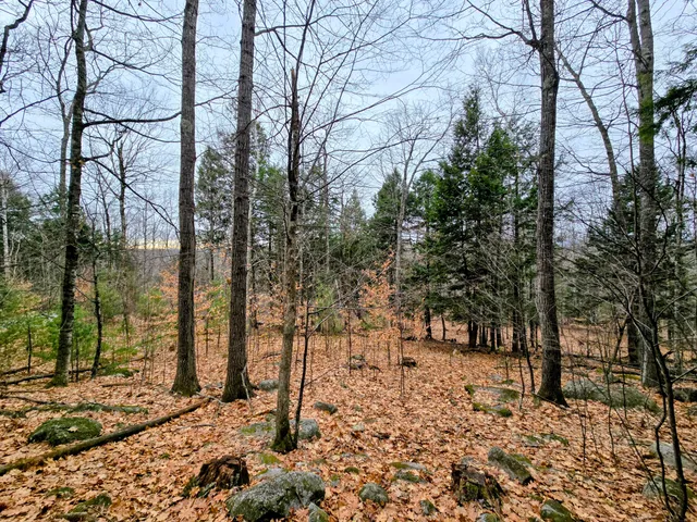 $165,000 | Lot 35 Moose Hill Road, Livermore Falls, ME 04254