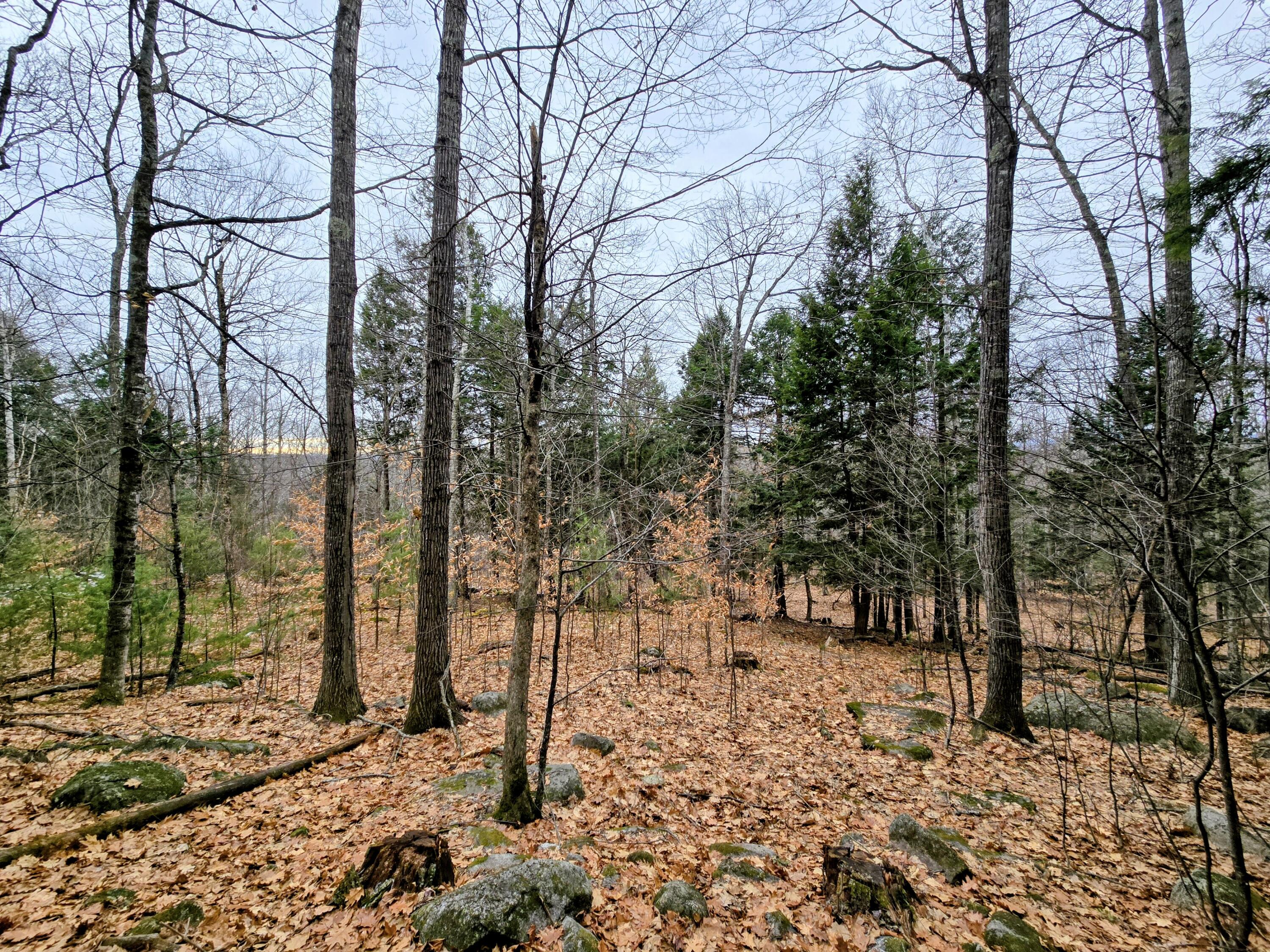 Lot 35 Moose Hill Road Livermore Falls, ME 04254 - Photo 35 of 48 Lot 35 Moose Hill Road