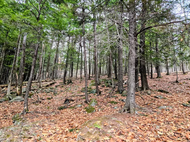 $165,000 | Lot 35 Moose Hill Road, Livermore Falls, ME 04254