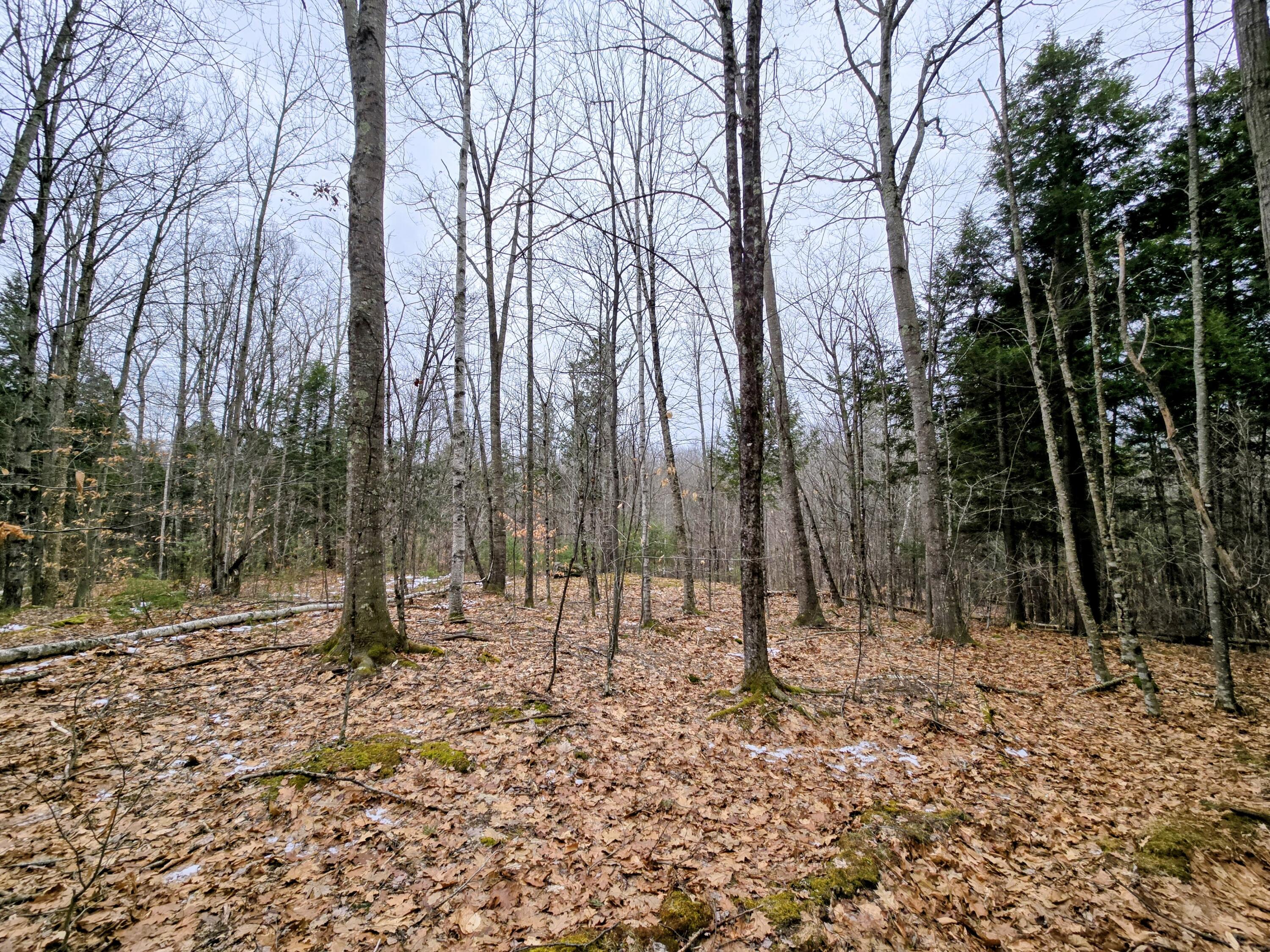 Lot 35 Moose Hill Road Livermore Falls, ME 04254 - Photo 37 of 48 Lot 35 Moose Hill Road