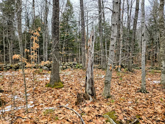 $165,000 | Lot 35 Moose Hill Road, Livermore Falls, ME 04254