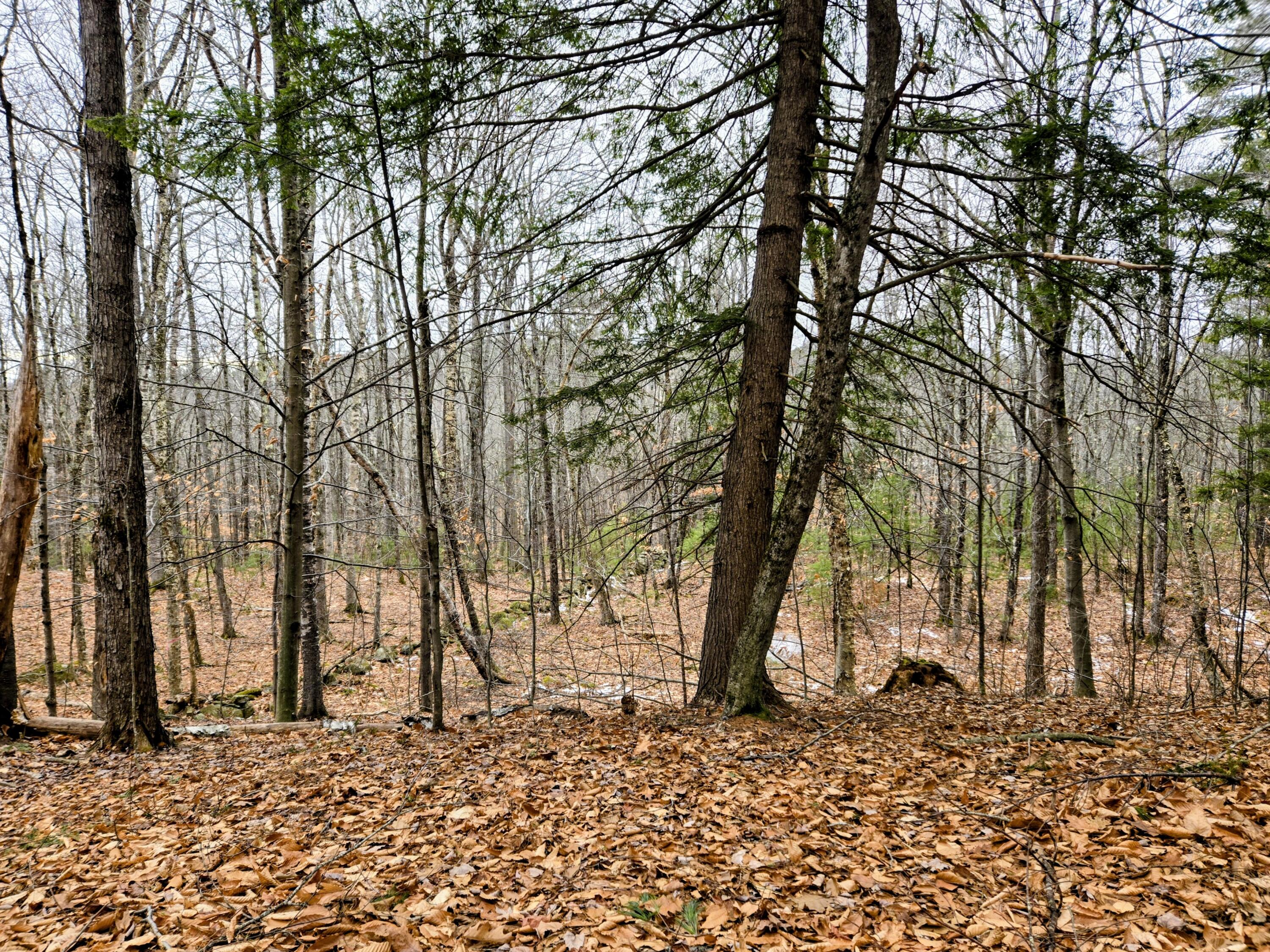 Lot 35 Moose Hill Road Livermore Falls, ME 04254 - Photo 40 of 48 Lot 35 Moose Hill Road