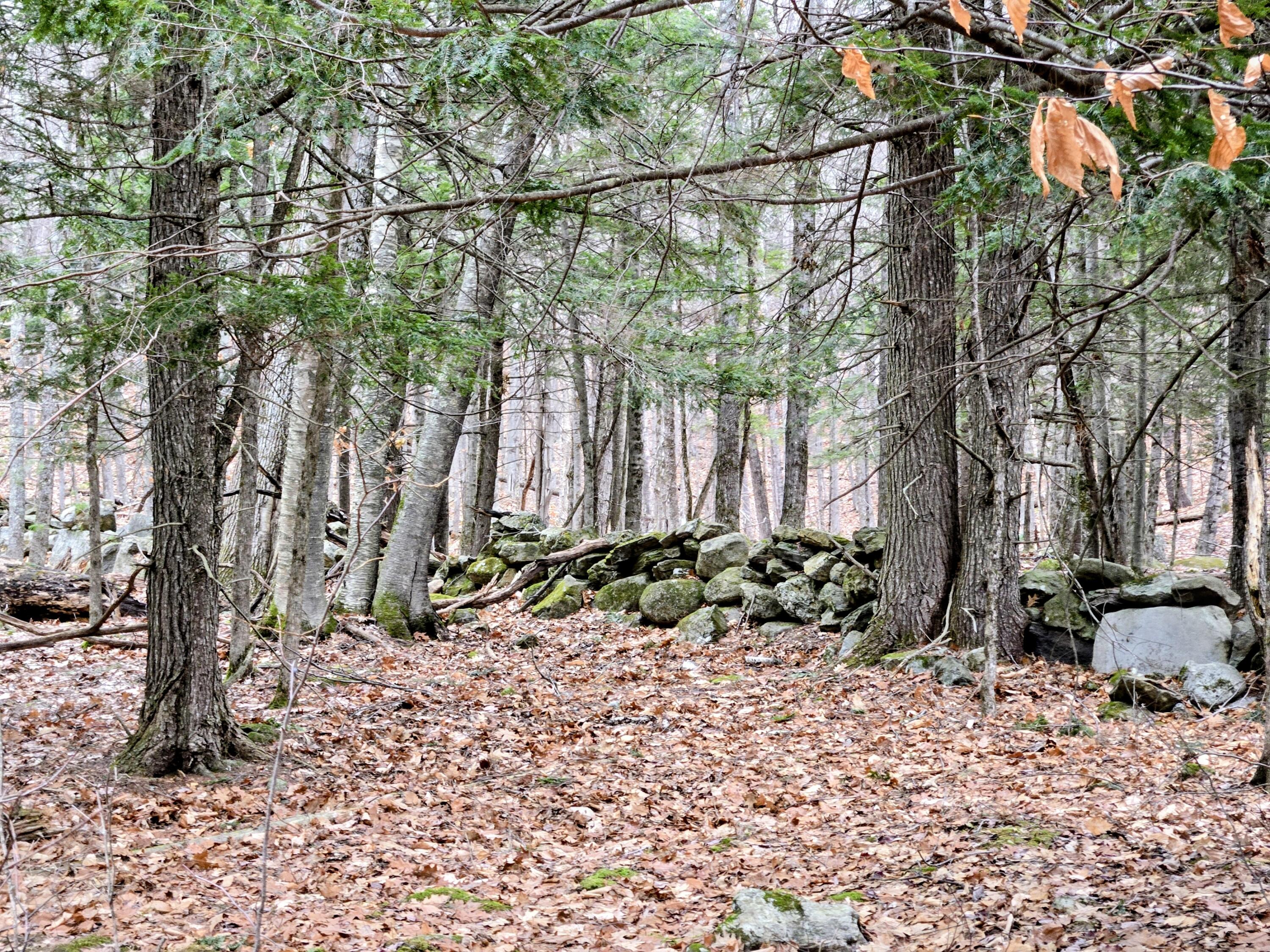 Lot 35 Moose Hill Road Livermore Falls, ME 04254 - Photo 41 of 48 Lot 35 Moose Hill Road