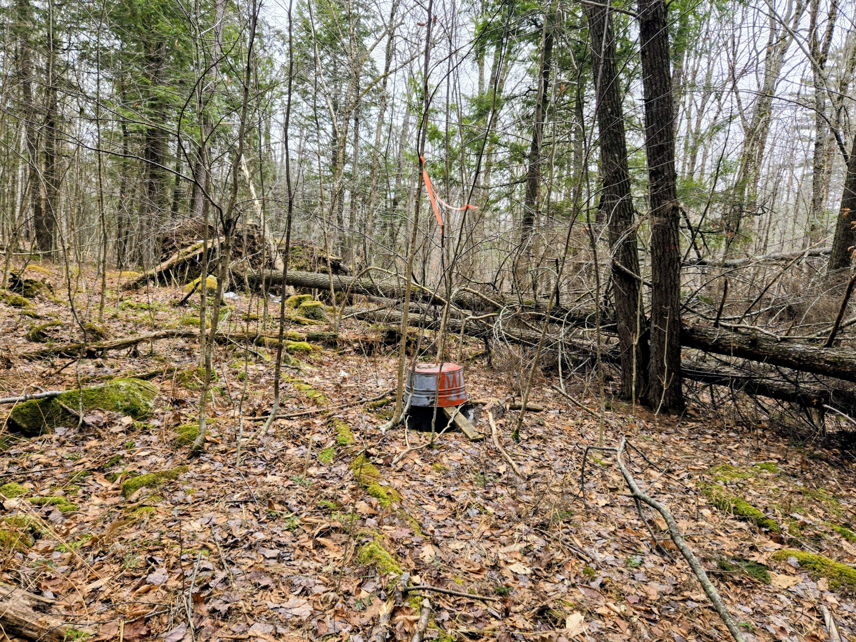 Lot 35 Moose Hill Road Livermore Falls, ME 04254 - Photo 42 of 48 Lot 35 Moose Hill Road