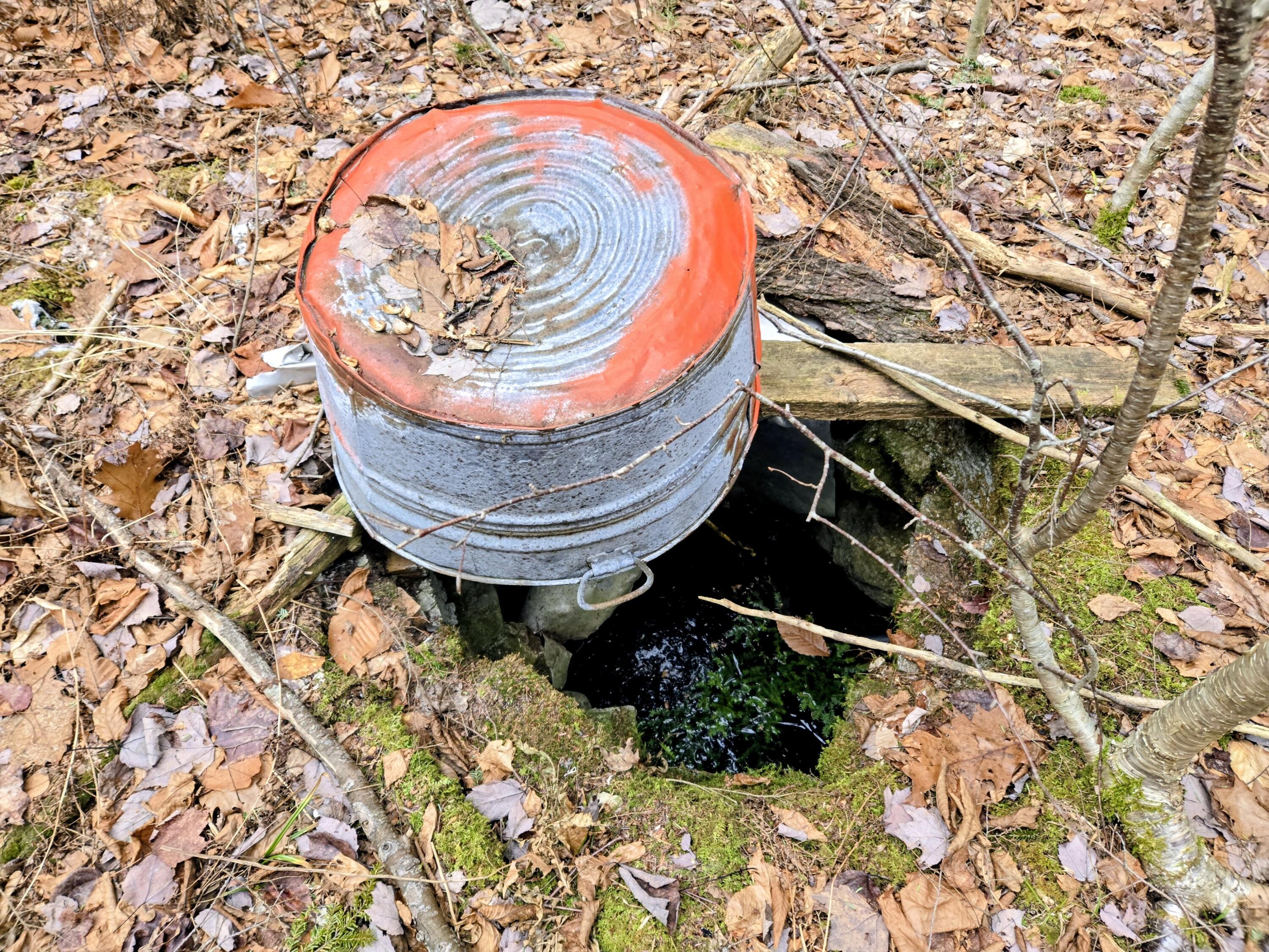 Lot 35 Moose Hill Road Livermore Falls, ME 04254 - Photo 43 of 48 Lot 35 Moose Hill Road