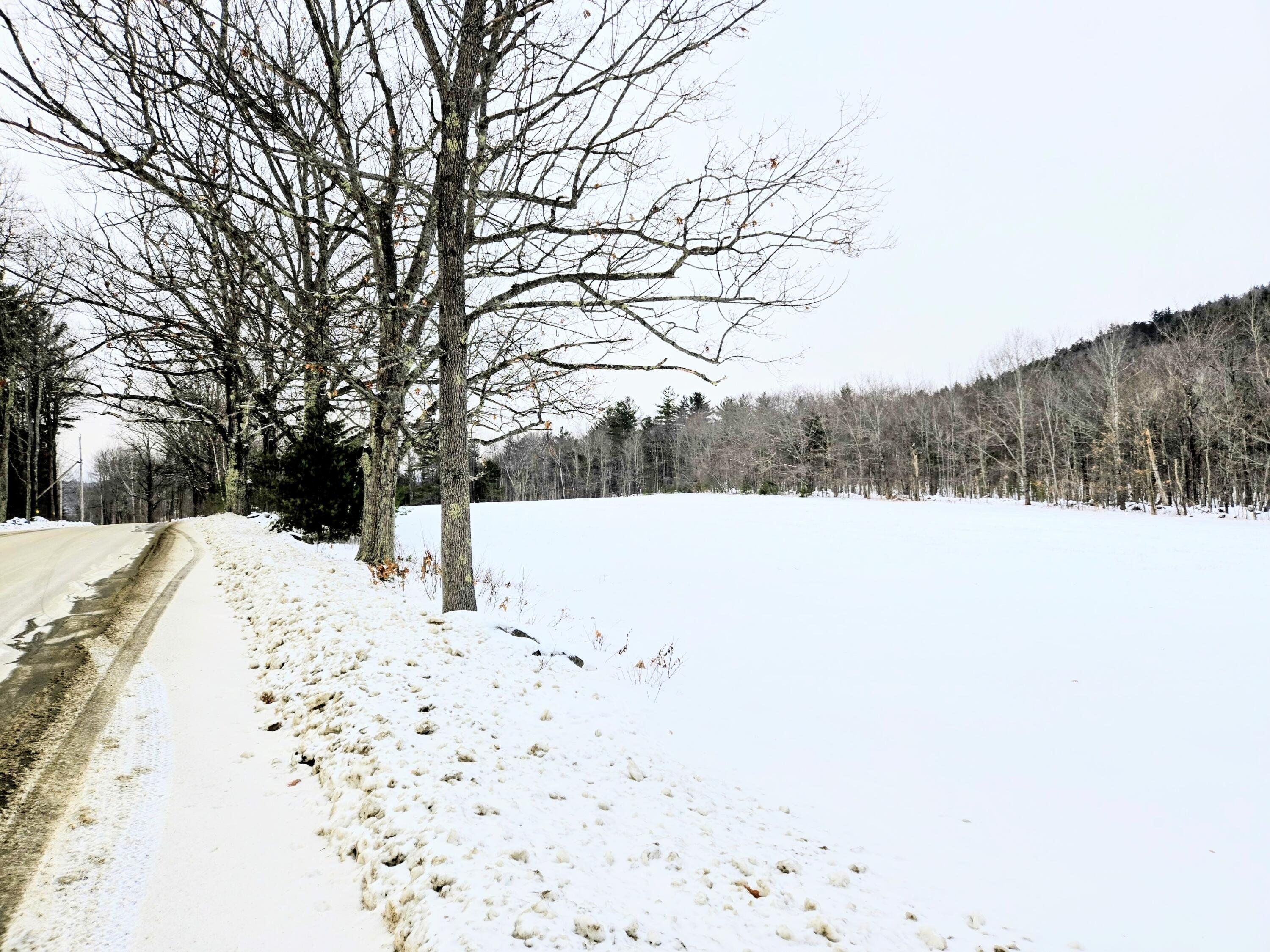 Lot 35 Moose Hill Road Livermore Falls, ME 04254 - Photo 6 of 48 1000045717