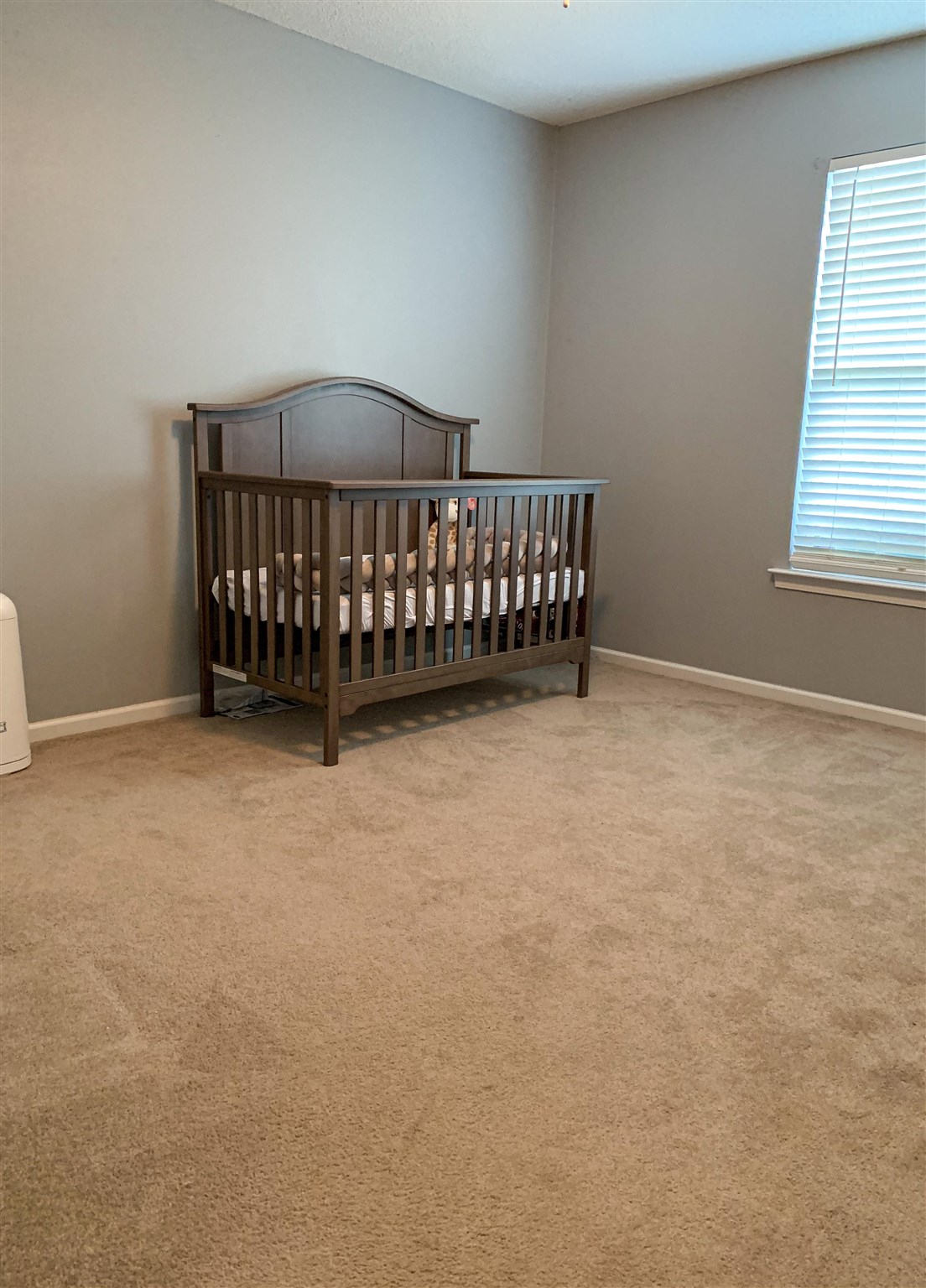 560 Rogers Bridge Road Duncan, SC 29334 - Photo 10 of 19