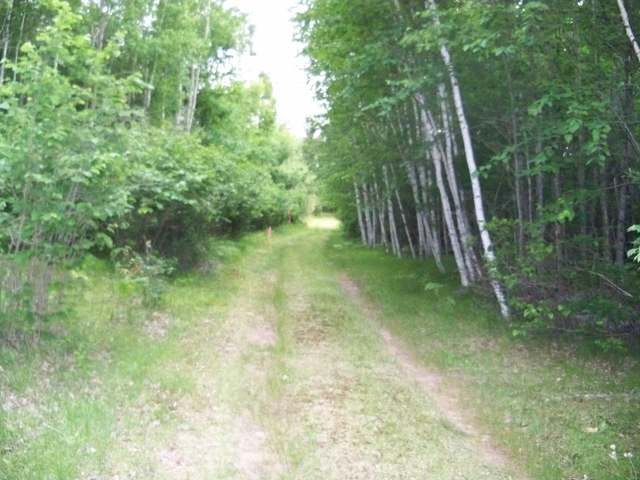 Two 2 Lakes Road Lake Tomahawk, WI 54539 - Photo 4 of 11 Gallery Image 4