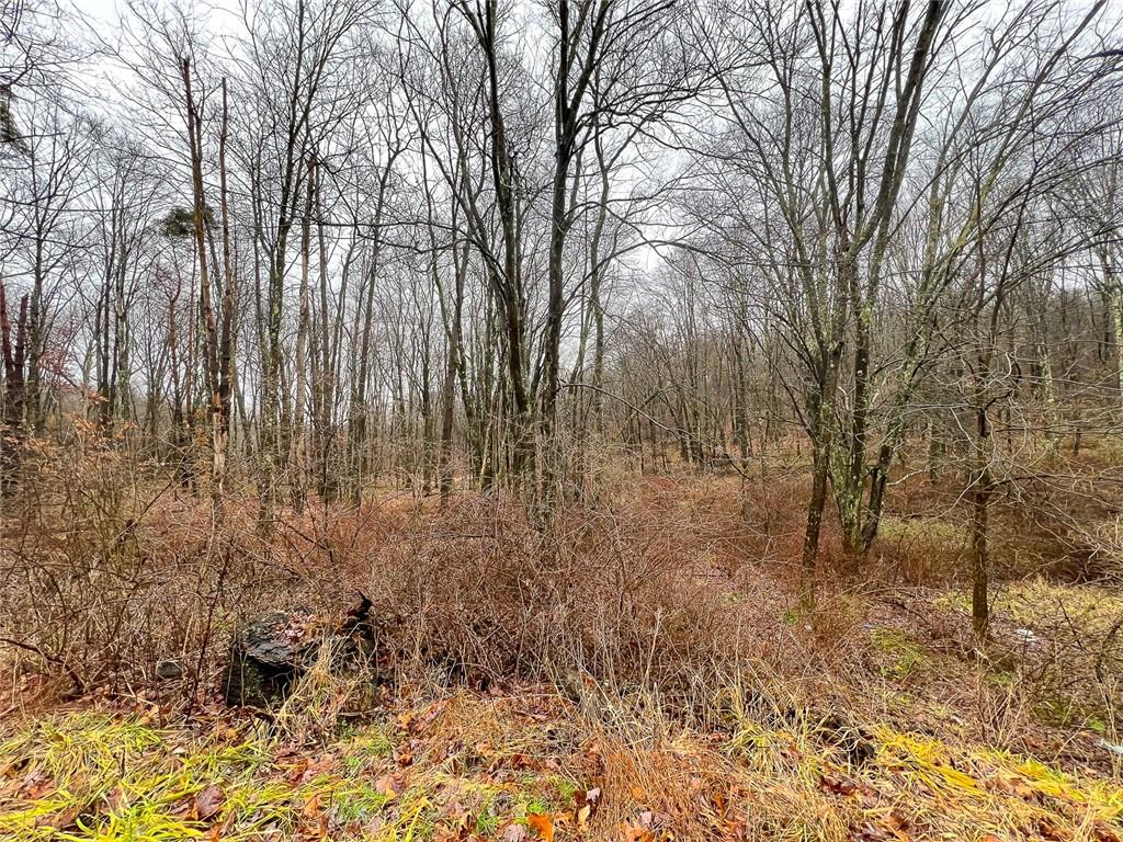 0 Medical Center Road Chicora, PA 16025 - Photo 2 of 6 a view of backyard with large trees