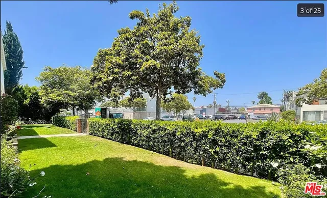 a view of a backyard with plants