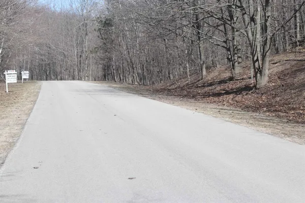 $75,000 | Lot 19 Crystal View Common, Frankfort, MI 49635
