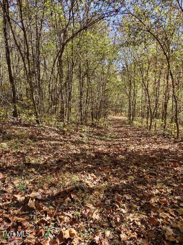 Tbd North Fork River Road, Unit 3 Abingdon, VA 24210 - Photo 8 of 34 *
