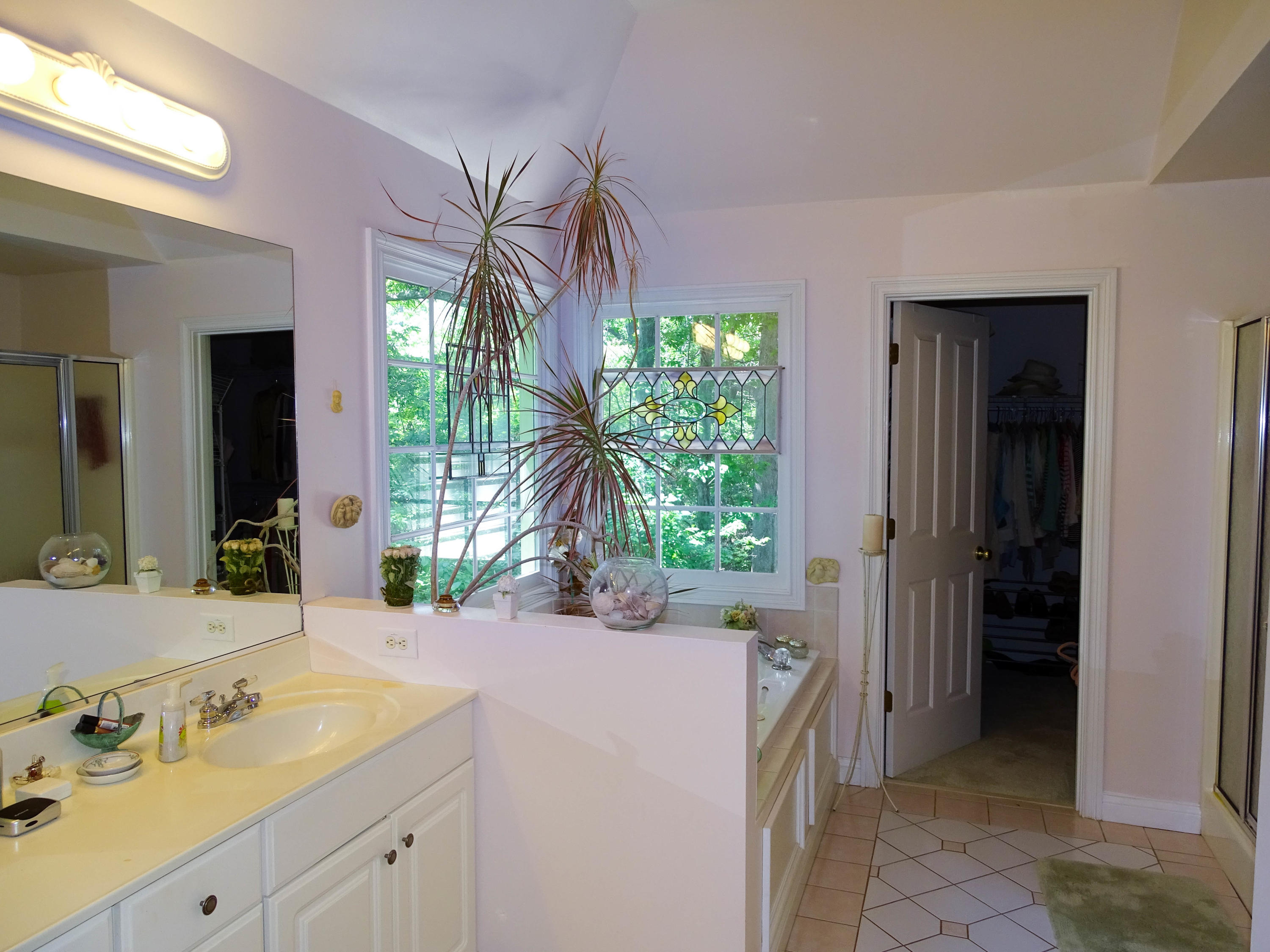 9227 Colchester Ridge Road Knoxville, TN 37922 - Photo 18 of 23 Master Bath