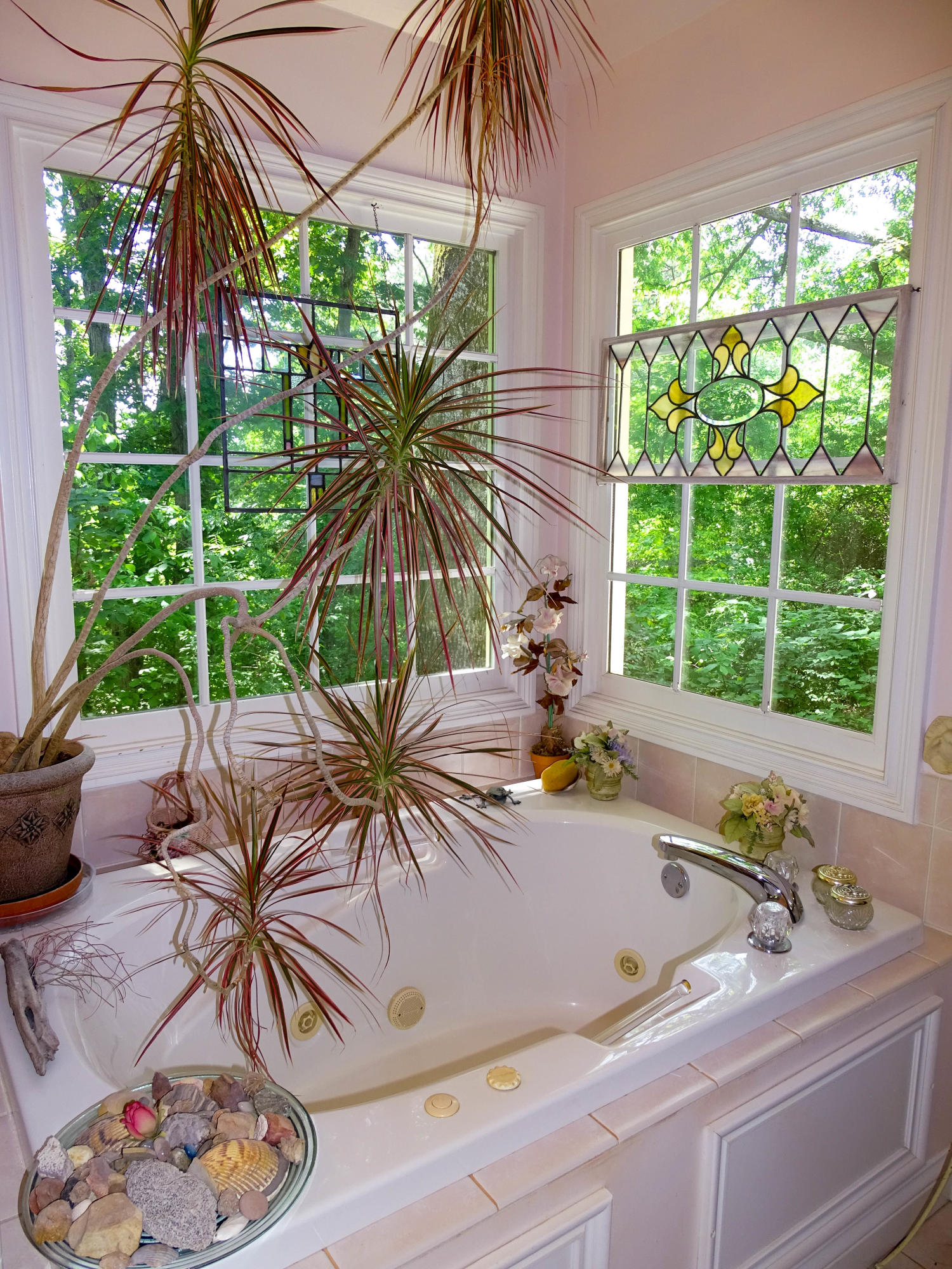 9227 Colchester Ridge Road Knoxville, TN 37922 - Photo 19 of 23 Master Bath Tub