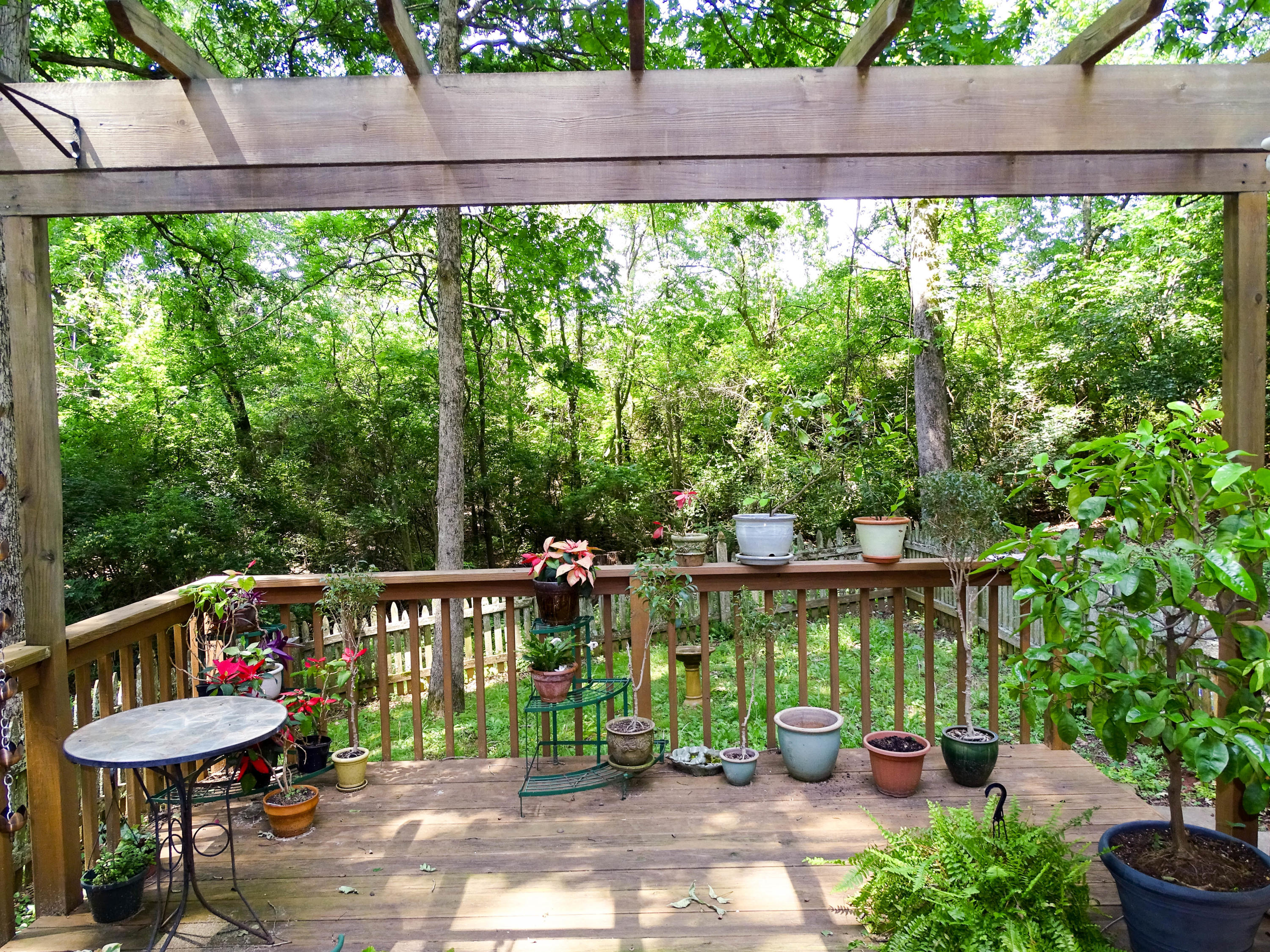 9227 Colchester Ridge Road Knoxville, TN 37922 - Photo 20 of 23 Back Yard 2