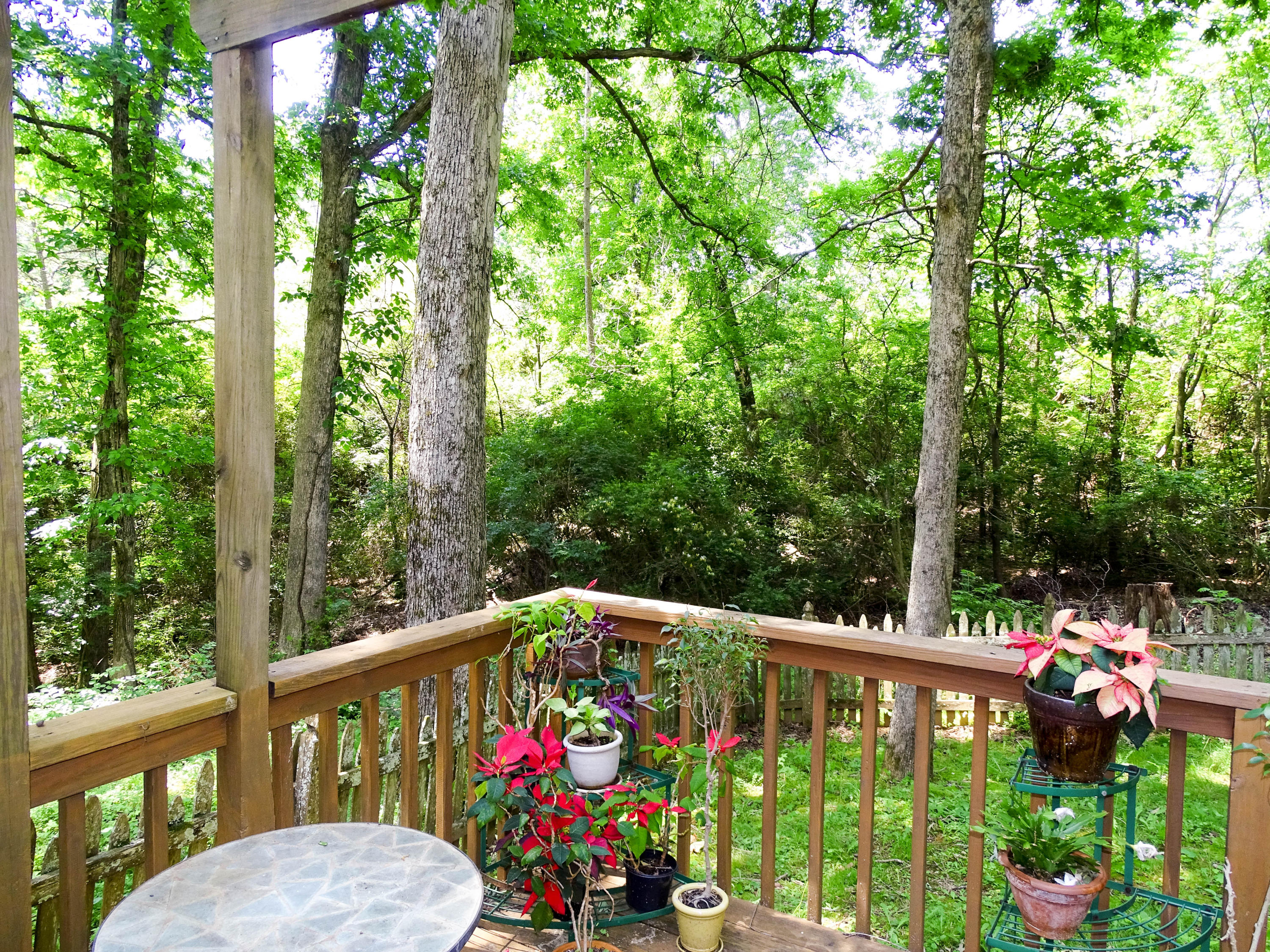 9227 Colchester Ridge Road Knoxville, TN 37922 - Photo 21 of 23 Back Yard