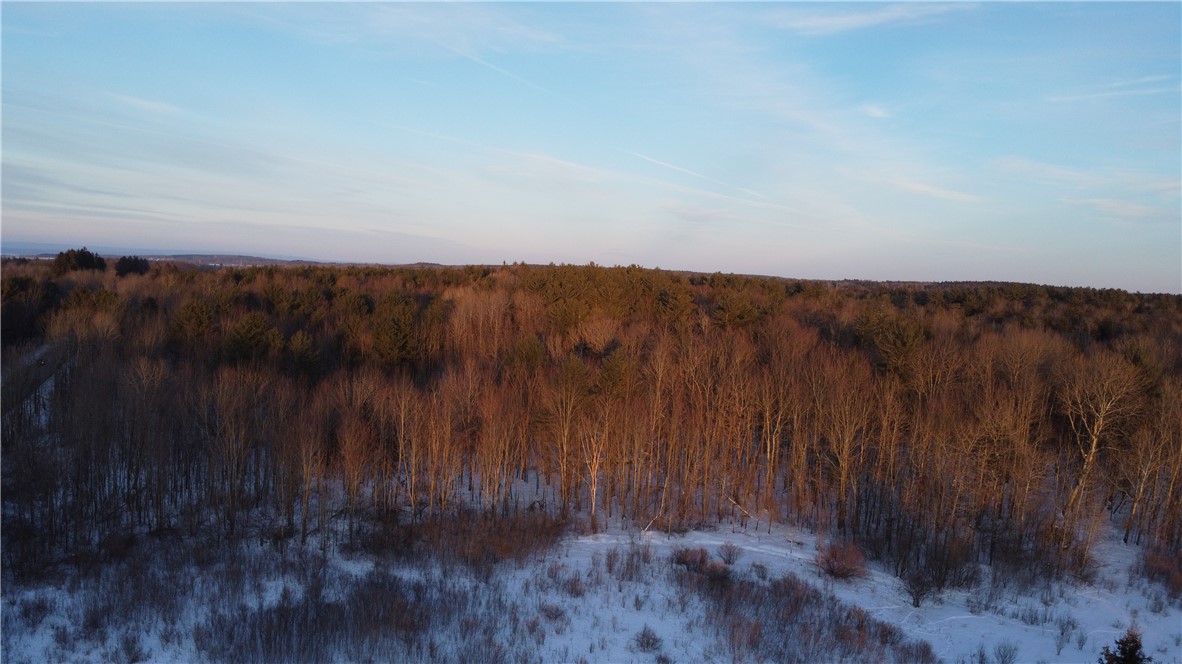 Lot 110 Corbin Hill Road Fultonville, NY 12072 - Photo 5 of 7