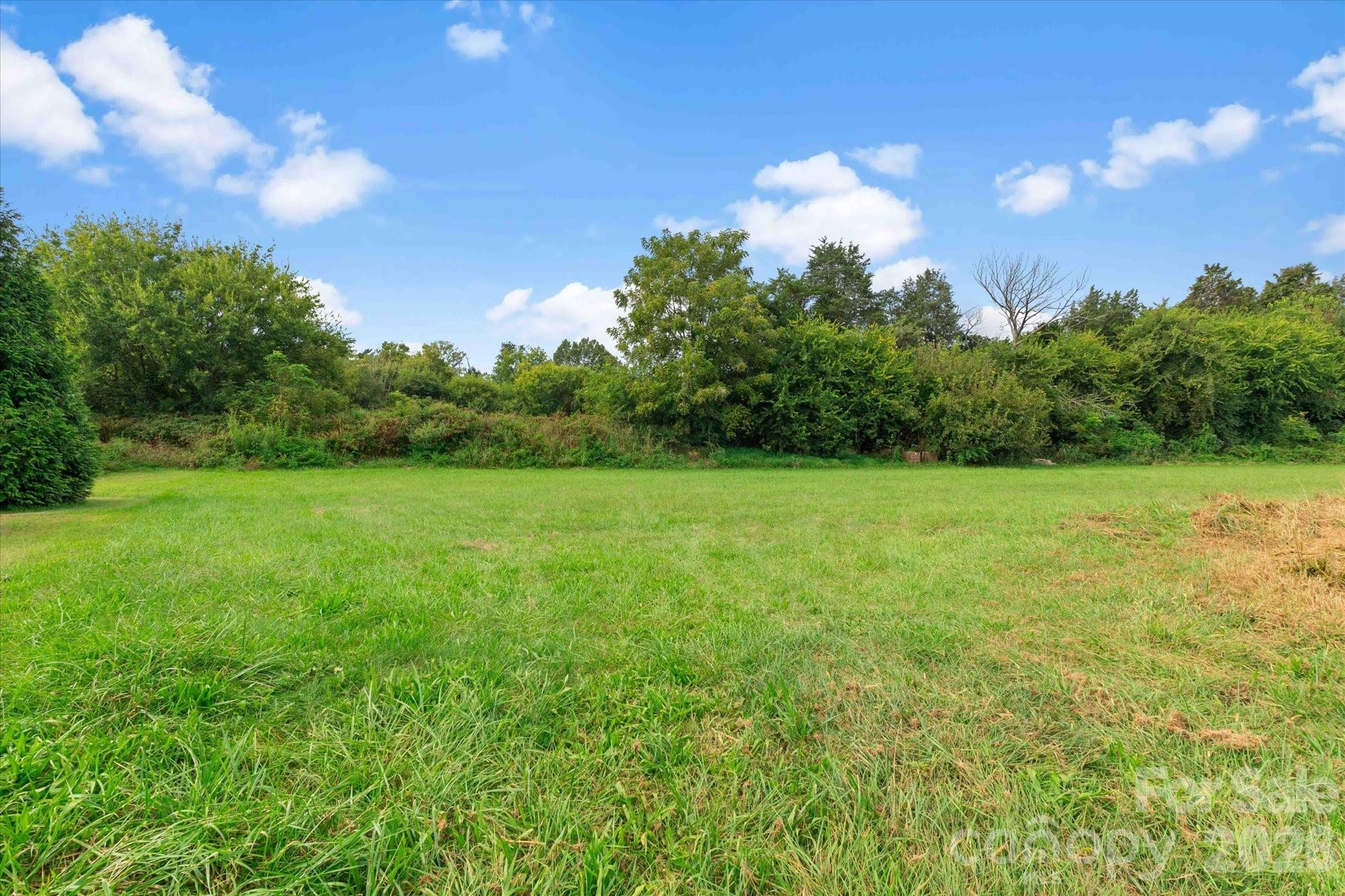 113 Cheval Trail Cleveland, NC 27013 - Photo 38 of 43