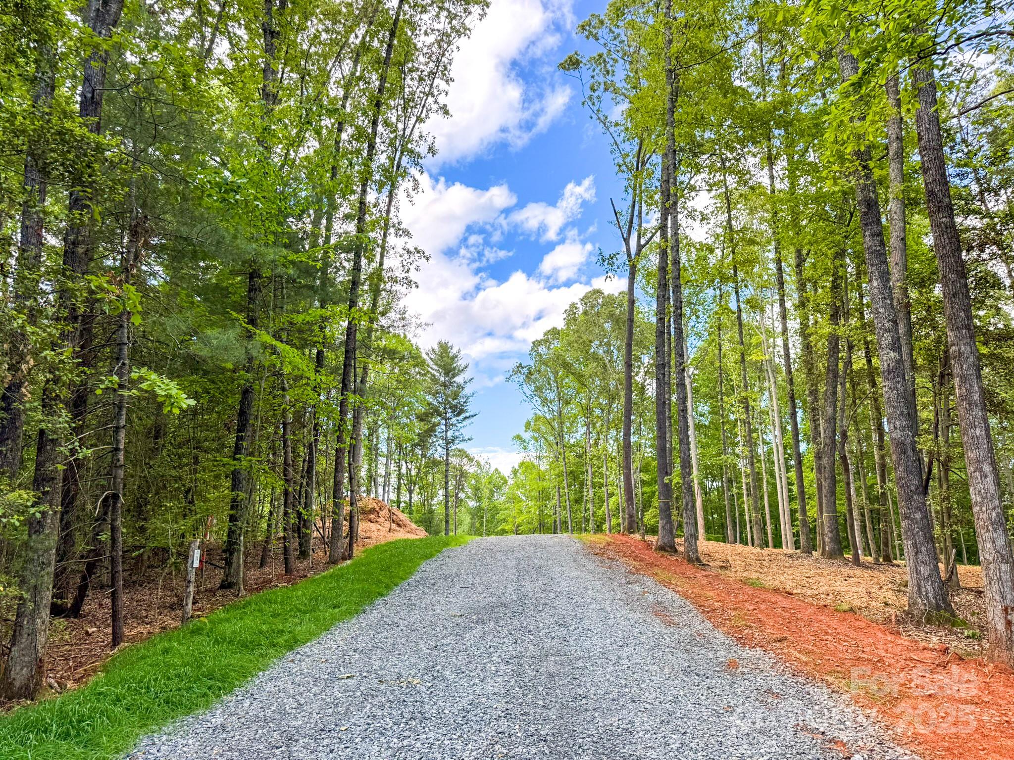 102 Reserve Way, Unit 2 Hendersonville, NC 28739 - Photo 11 of 22 a view of a yard with plants and large trees