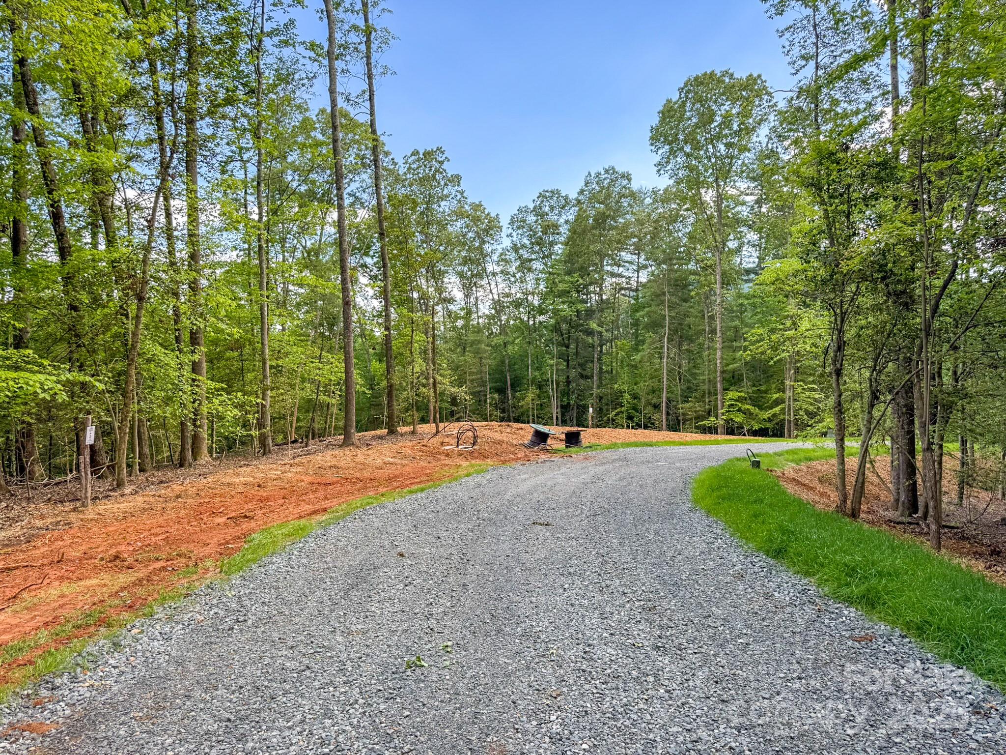 102 Reserve Way, Unit 2 Hendersonville, NC 28739 - Photo 12 of 22 a view of a park with large trees