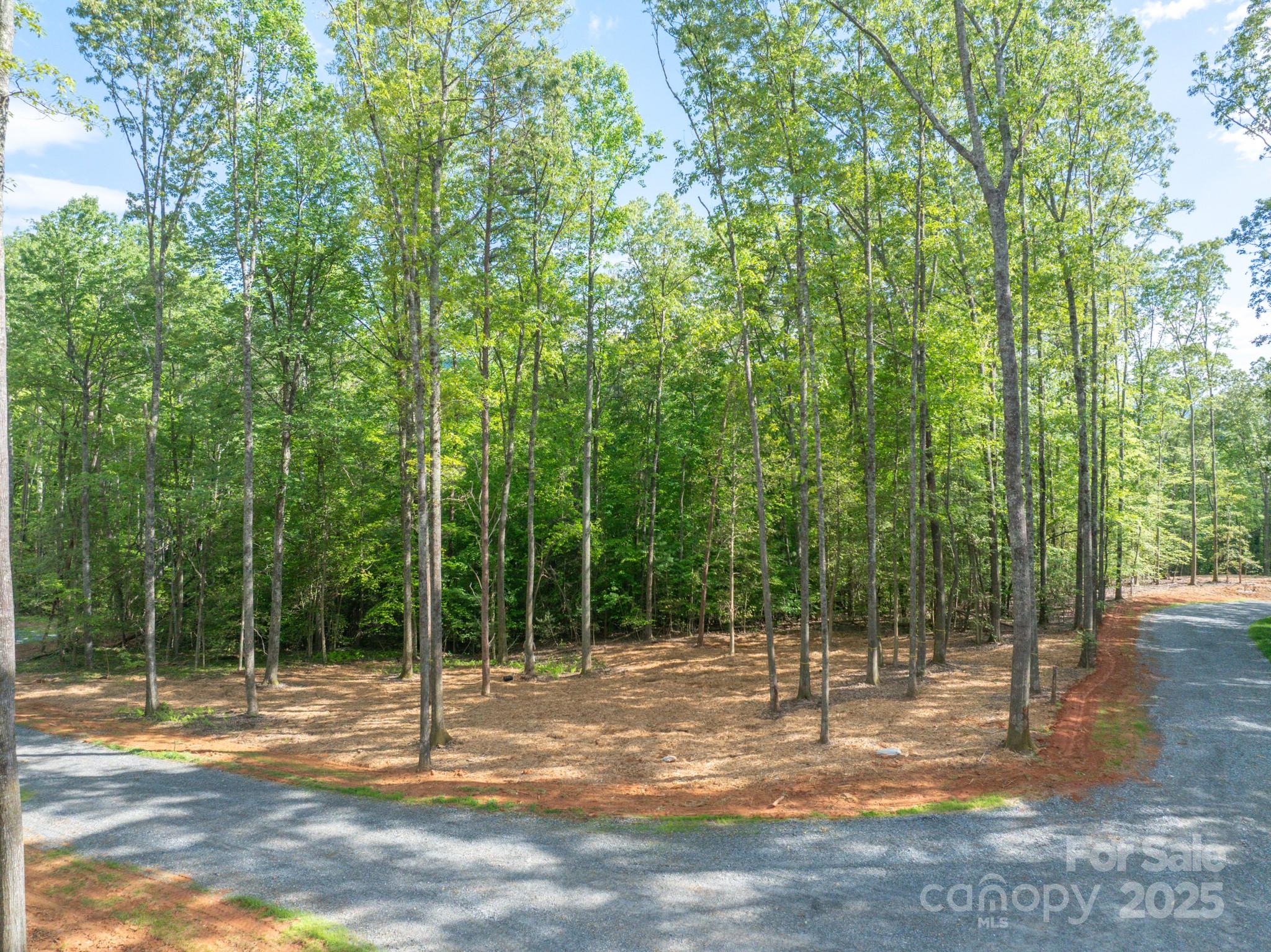 102 Reserve Way, Unit 2 Hendersonville, NC 28739 - Photo 14 of 22 a backyard of a house with lots of green space