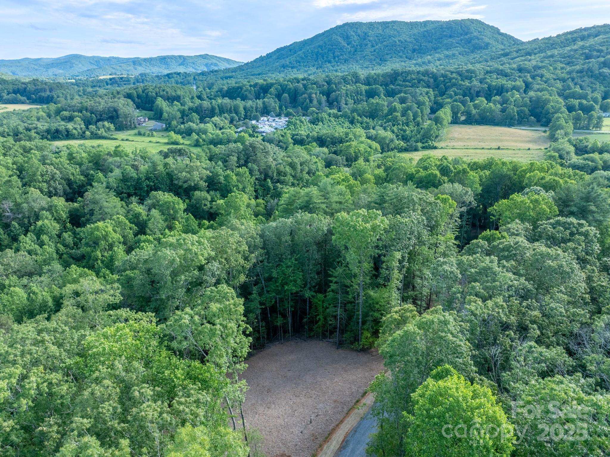 102 Reserve Way, Unit 2 Hendersonville, NC 28739 - Photo 4 of 22 a view of a valley