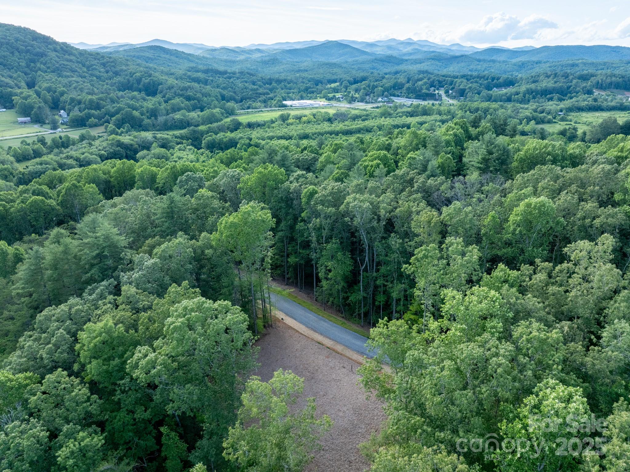 102 Reserve Way, Unit 2 Hendersonville, NC 28739 - Photo 5 of 22 a view of a lush green forest with trees and some houses