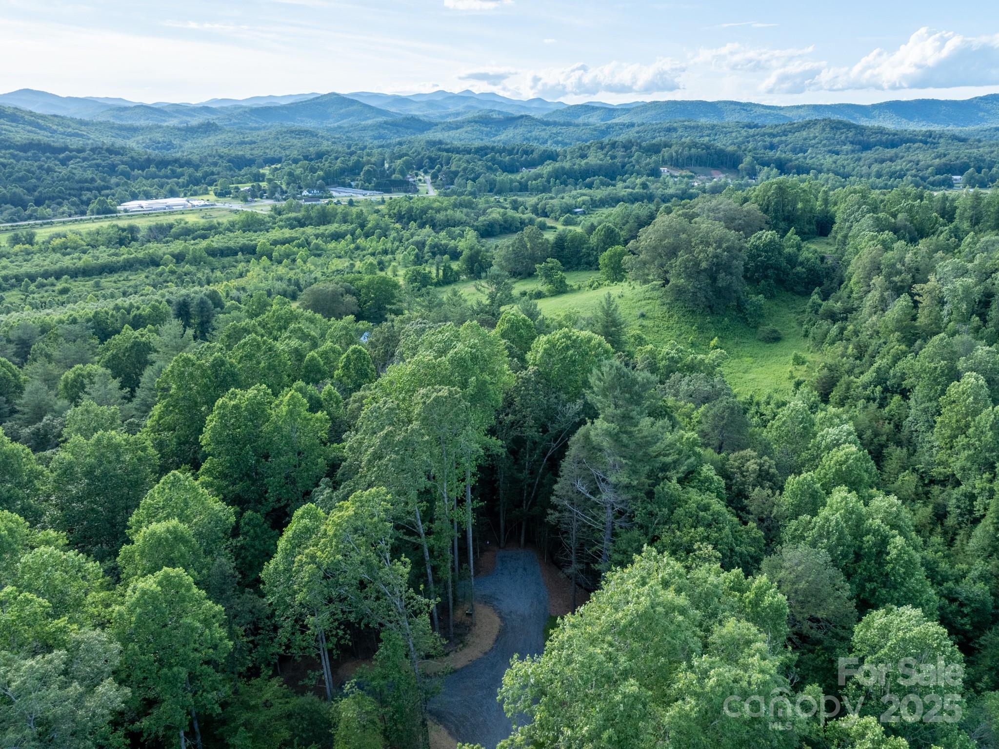 102 Reserve Way, Unit 2 Hendersonville, NC 28739 - Photo 6 of 22 a view of a lush green forest with lush green forest