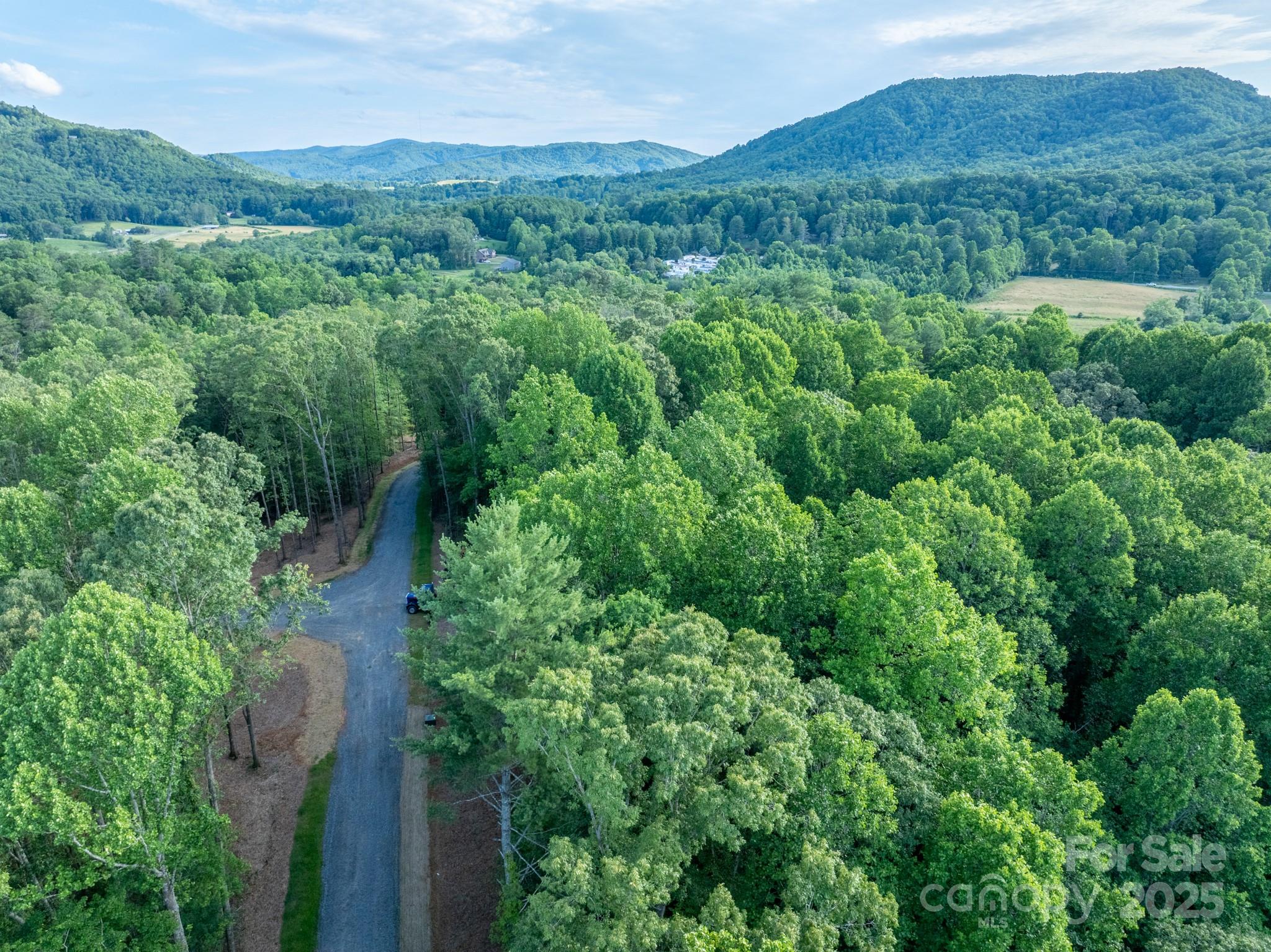 102 Reserve Way, Unit 2 Hendersonville, NC 28739 - Photo 7 of 22 an aerial view of green landscape with trees houses and mountain view