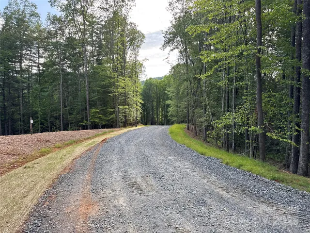 a view of road with trees in the background