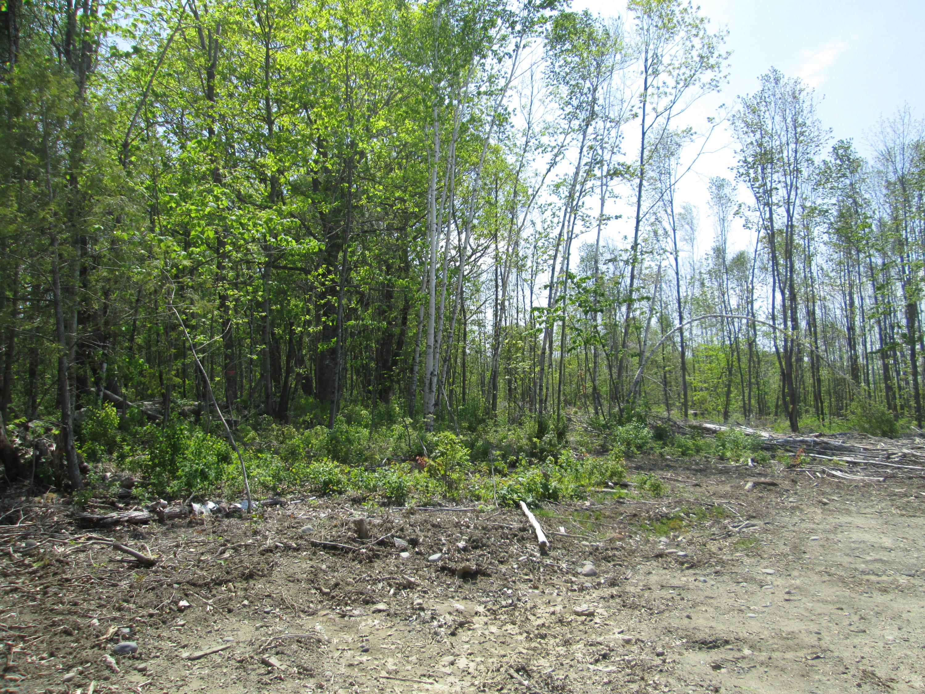 0 Blake Hill Road Mount Vernon, ME 04352 - Photo 4 of 7 dillonphotoE