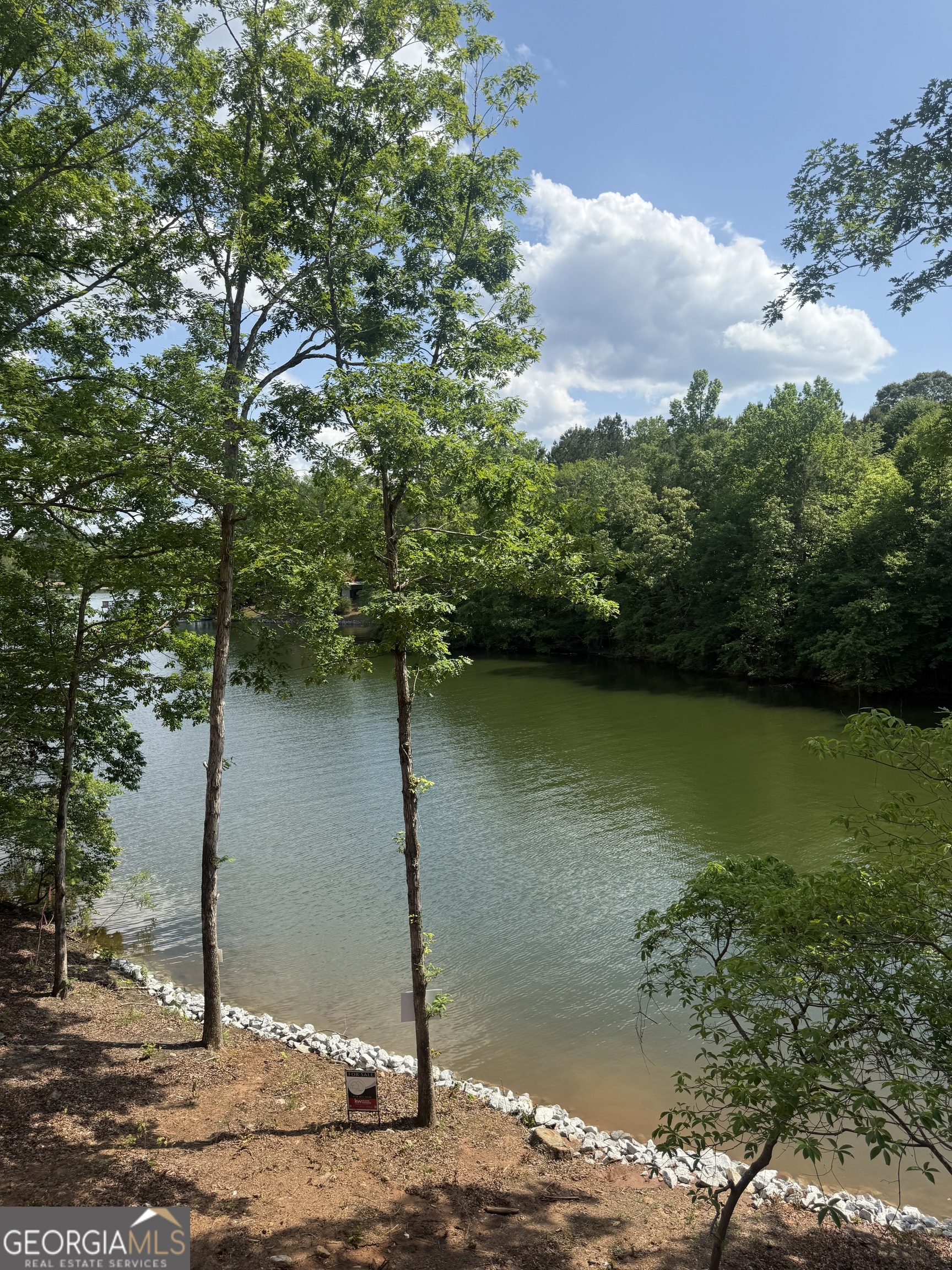 681 Warren Road Wedowee, AL 36278 - Photo 6 of 6