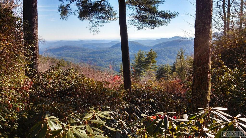 57 Blue Valley Road Highlands, NC 28741 - Photo 9 of 22 Gallery Image 9
