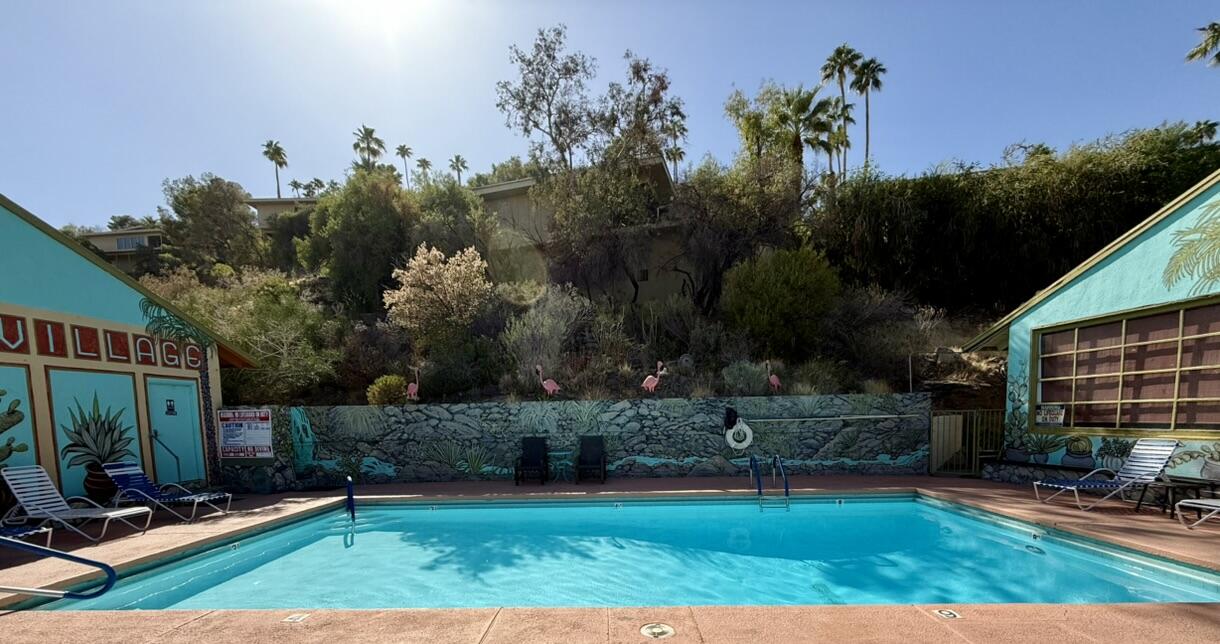 22 Jupiter Street Palm Springs, CA 92264 - Photo 34 of 35 a view of a backyard with couches plants and large trees