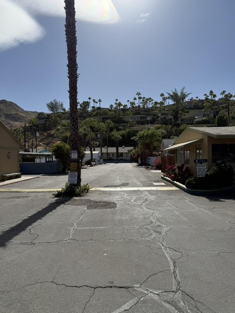 22 Jupiter Street Palm Springs, CA 92264 - Photo 35 of 35 a swimming pool view with large trees